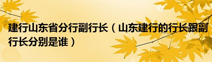 建行山东省分行副行长（山东建行的行长跟副行长分别是谁）