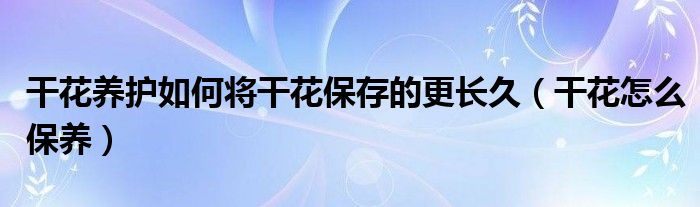 干花养护如何将干花保存的更长久（干花怎么保养）