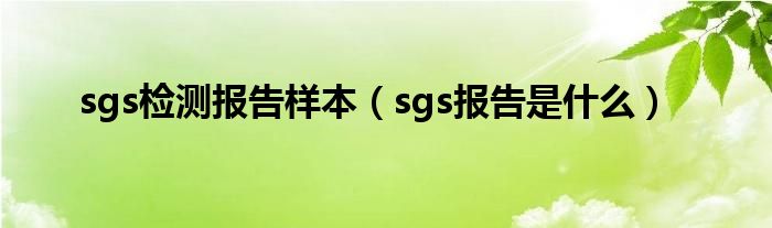 sgs检测报告样本（sgs报告是什么）