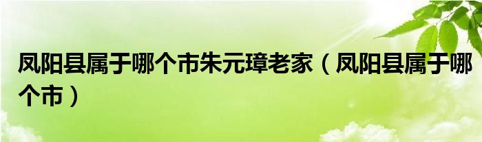 凤阳县属于哪个市朱元璋老家（凤阳县属于哪个市）