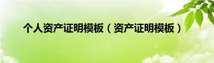 个人资产证明模板（资产证明模板）