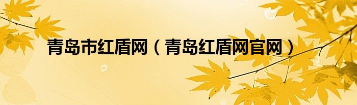 青岛市红盾网（青岛红盾网官网）