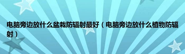 电脑旁边放什么盆栽防辐射最好（电脑旁边放什么植物防辐射）