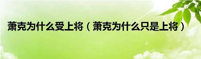 萧克为什么受上将（萧克为什么只是上将）