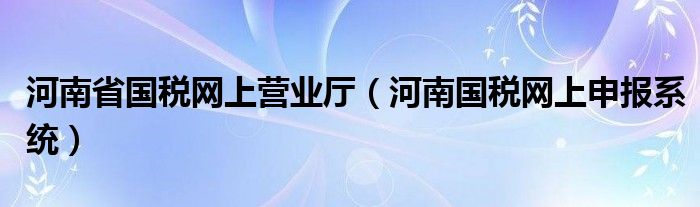 河南省国税网上营业厅（河南国税网上申报系统）