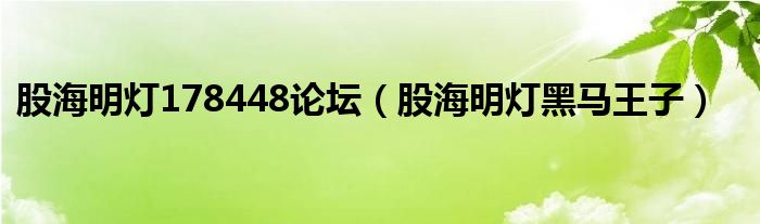 股海明灯178448论坛（股海明灯黑马王子）