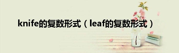 knife的复数形式（leaf的复数形式）