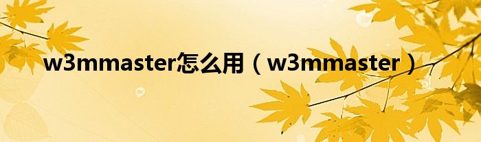 w3mmaster怎么用（w3mmaster）