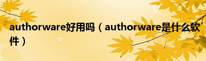 authorware好用吗（authorware是什么软件）