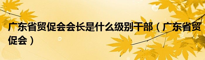 广东省贸促会会长是什么级别干部（广东省贸促会）