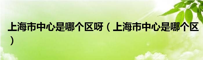 上海市中心是哪个区呀（上海市中心是哪个区）