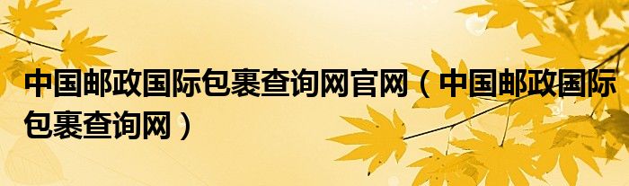 中国邮政国际包裹查询网官网（中国邮政国际包裹查询网）