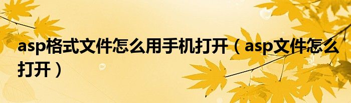 asp格式文件怎么用手机打开（asp文件怎么打开）