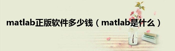 matlab正版软件多少钱（matlab是什么）