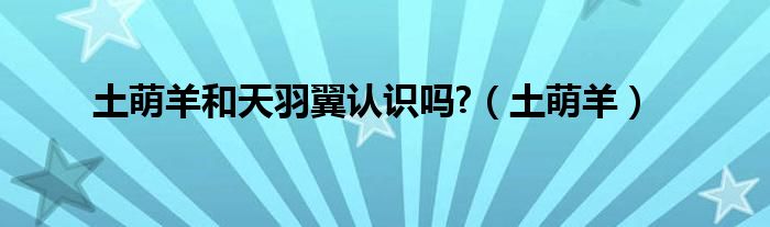 土萌羊和天羽翼认识吗?（土萌羊）