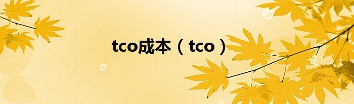 tco成本（tco）