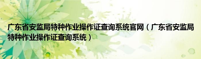 广东省安监局特种作业操作证查询系统官网（广东省安监局特种作业操作证查询系统）