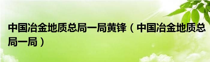 中国冶金地质总局一局黄锋（中国冶金地质总局一局）