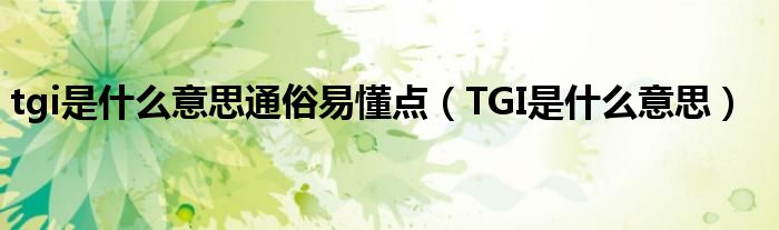 tgi是什么意思通俗易懂点（TGI是什么意思）