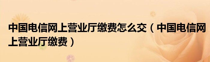 中国电信网上营业厅缴费怎么交（中国电信网上营业厅缴费）