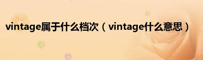 vintage属于什么档次（vintage什么意思）