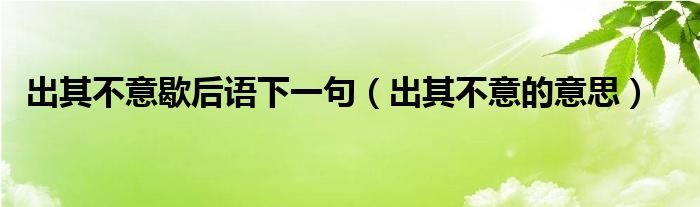 出其不意歇后语下一句（出其不意的意思）