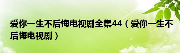 爱你一生不后悔电视剧全集44（爱你一生不后悔电视剧）