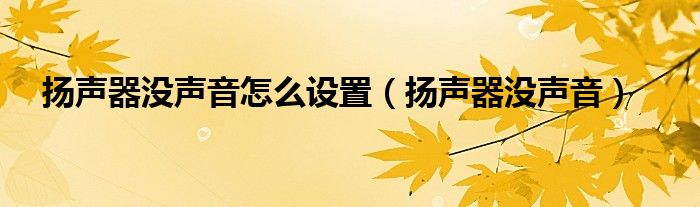 扬声器没声音怎么设置（扬声器没声音）