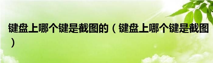 键盘上哪个键是截图的（键盘上哪个键是截图）