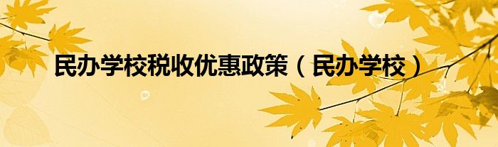 民办学校税收优惠政策（民办学校）