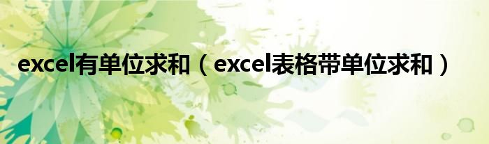 excel有单位求和（excel表格带单位求和）