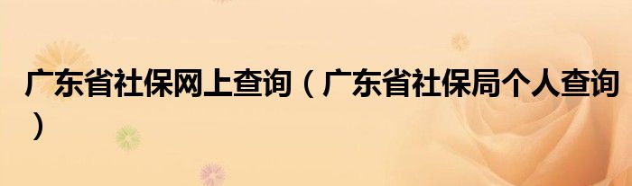 广东省社保网上查询（广东省社保局个人查询）