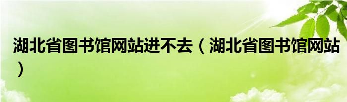 湖北省图书馆网站进不去（湖北省图书馆网站）