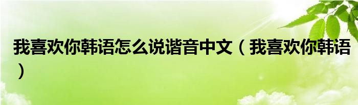 我喜欢你韩语怎么说谐音中文（我喜欢你韩语）