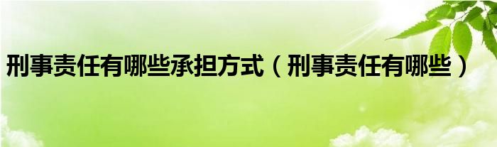 刑事责任有哪些承担方式（刑事责任有哪些）