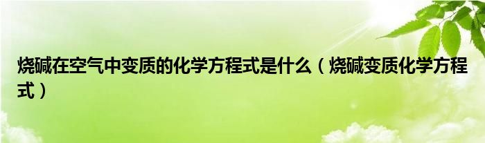 烧碱在空气中变质的化学方程式是什么（烧碱变质化学方程式）