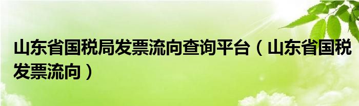 山东省国税局发票流向查询平台（山东省国税发票流向）