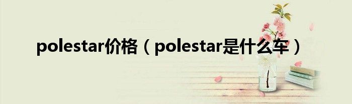 polestar价格（polestar是什么车）