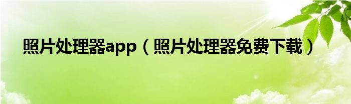 照片处理器app（照片处理器免费下载）