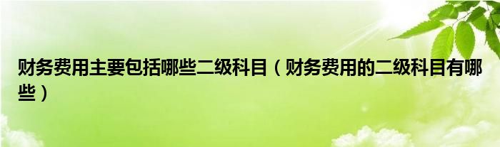 财务费用主要包括哪些二级科目（财务费用的二级科目有哪些）