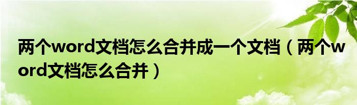 两个word文档怎么合并成一个文档（两个word文档怎么合并）