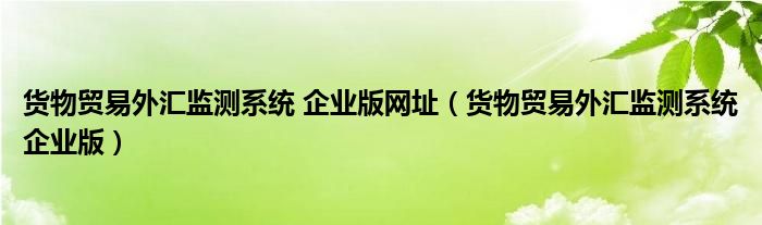 货物贸易外汇监测系统 企业版网址（货物贸易外汇监测系统企业版）