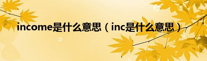 income是什么意思（inc是什么意思）