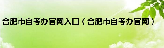 合肥市自考办官网入口（合肥市自考办官网）