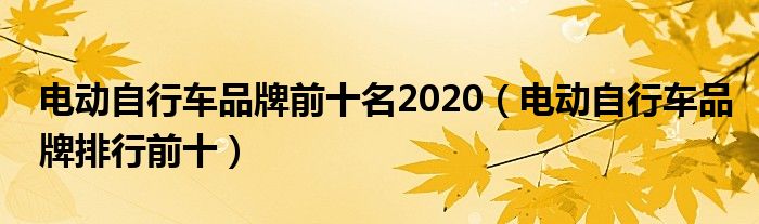 电动自行车品牌前十名2020（电动自行车品牌排行前十）