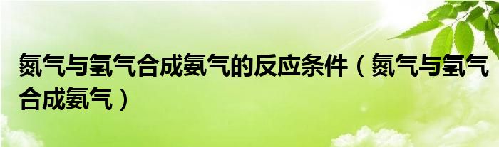 氮气与氢气合成氨气的反应条件（氮气与氢气合成氨气）