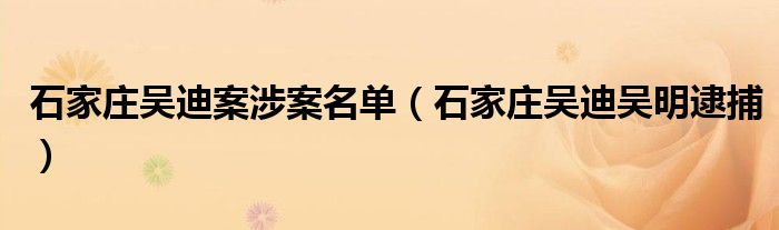 石家庄吴迪案涉案名单（石家庄吴迪吴明逮捕）