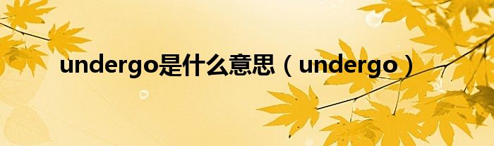 undergo是什么意思（undergo）