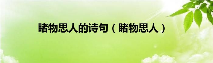 睹物思人的诗句（睹物思人）