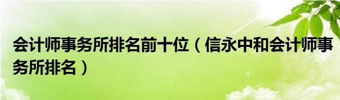 会计师事务所排名前十位（信永中和会计师事务所排名）